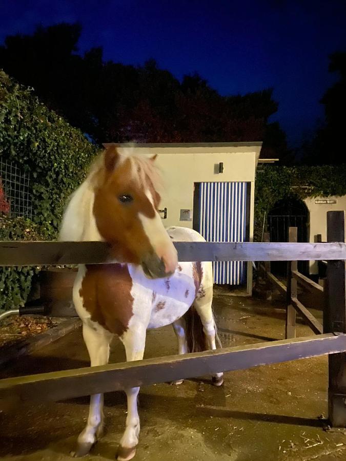 The Stable Annexe & Spa Dogdyke Esterno foto