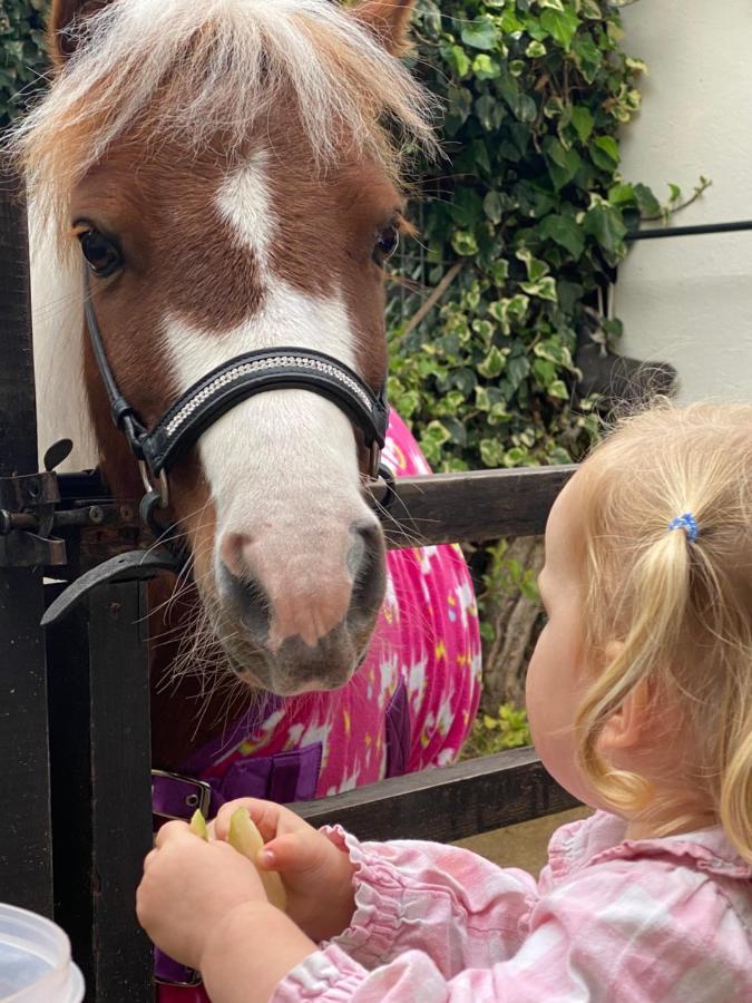 The Stable Annexe & Spa Dogdyke Esterno foto