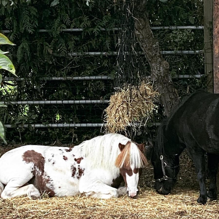The Stable Annexe & Spa Dogdyke Esterno foto