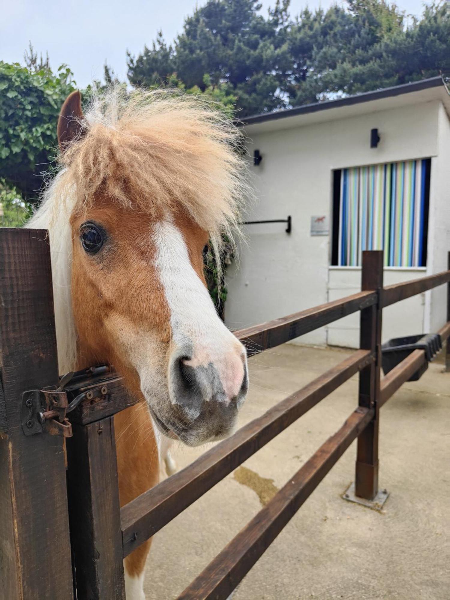 The Stable Annexe & Spa Dogdyke Esterno foto